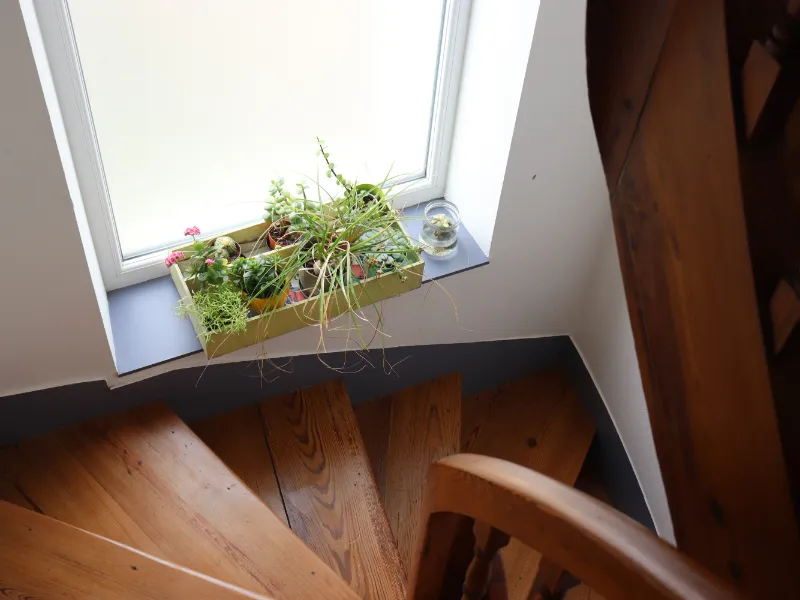 A tray of succulents on the landing windowsill, above the wooden staircase
